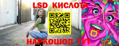 PSILOCYBIN Владимир